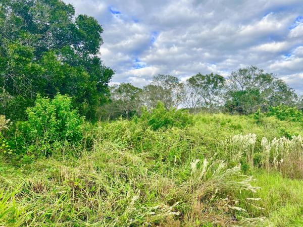 Phillip Monroe Acres, Tbd W Midway W Rd, Fort Pierce, Florida 34945, image 1