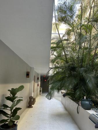 Lauderdale Landings, 5495 NE 25th Ave #204, Fort Lauderdale, Florida 33308, image 2