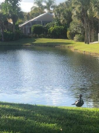 The Colony At Breakers West, 1090 Lytham Ct, West Palm Beach, Florida 33411, image 2