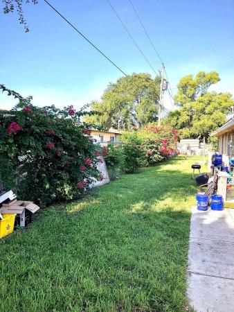 Timber Pine, 1619 W 27th St, Riviera Beach, Florida 33404, image 3