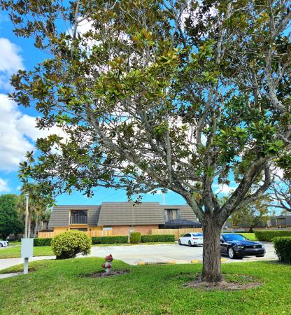 Village Of Sandalwood Lakes, 2317 23rd Way, West Palm Beach, Florida 33407, image 3