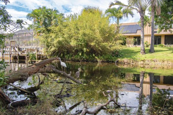 Casablanca Isles, 815 W Boynton Beach Blvd #15105, Boynton Beach, Florida 33426, image 1