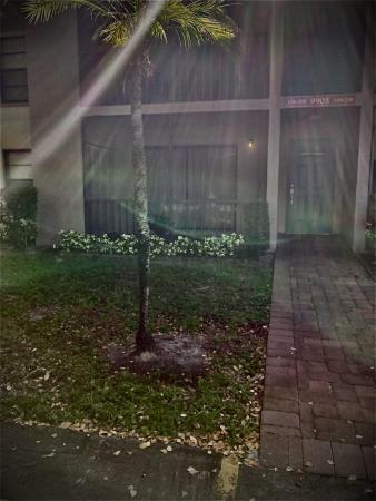 Bent Tree Gardens West, 9905 Pineapple Tree Dr #106, Boynton Beach, Florida 33436, image 1