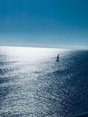 Phoenix Towers, 2800 N Ocean Dr #A23C, Riviera Beach, Florida 33404, image 2