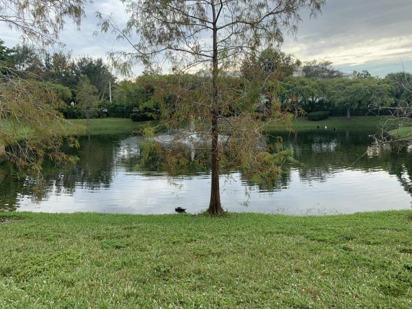 Sorrento Lakes At Sunrise Point, 3914 NW 90th Ave, Sunrise, Florida 33351, image 1