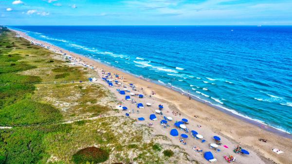 Totterdale, 1409 Pine Ln, Delray Beach, Florida 33444, image 1