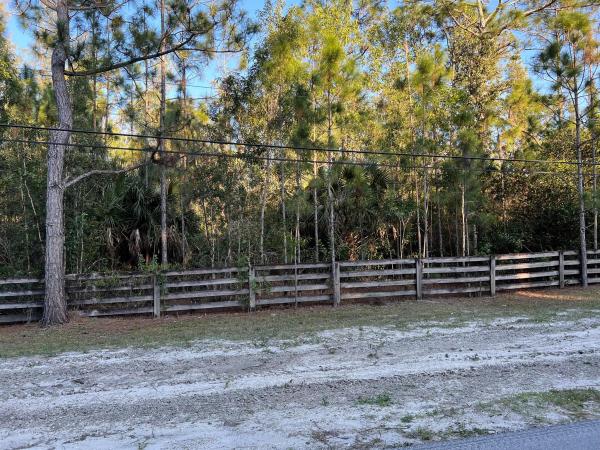 Homeland, 5818 Duckweed Rd, Lake Worth Beach, Florida 33449, image 1