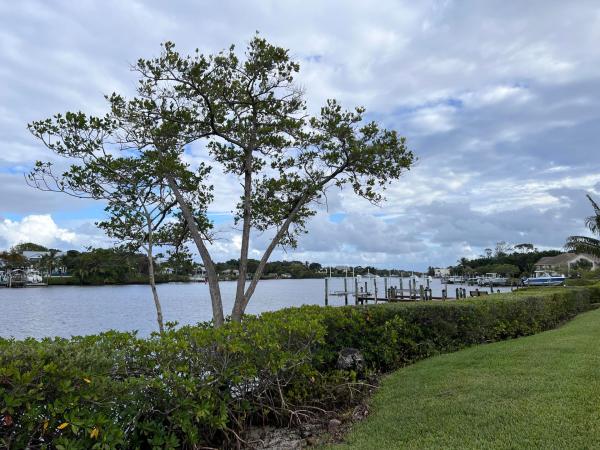 Turtle Creek East, 19149 SE Sea Turtle Ct #105-A, Jupiter, Florida 33469, image 2
