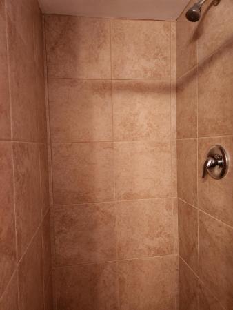 Arrowhead, 2461 SW 82nd Ave #105, Davie, Florida 33324, image 1