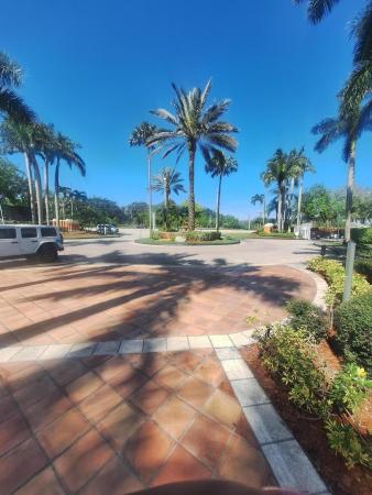 Riviera Palms, 3880 Lyons Rd #203-7, Coconut Creek, Florida 33073, image 1