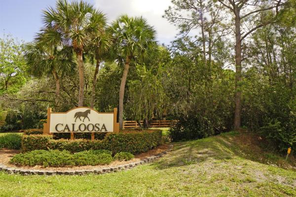 Caloosa, 14704 Black Bear Rd, Palm Beach Gardens, Florida 33418, image 1