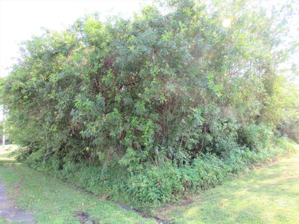 3782 SW Kaiser St, Port St. Lucie, Florida 34953, image 1