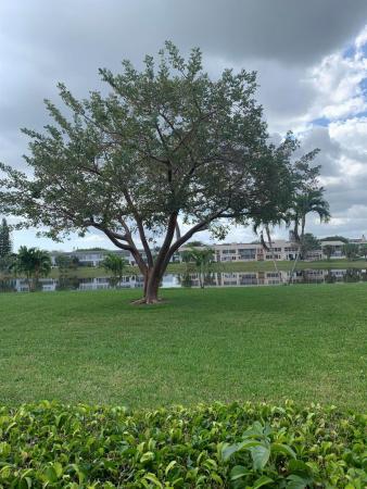Somerset At Century Village, 126 Somerset G, West Palm Beach, Florida 33417, image 1