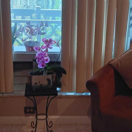 Edgewood Greens, 1701 NW 46th Ave #203, Lauderhill, Florida 33313, image 2