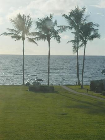 La Coquille Club Villas, 450 S Ocean Blvd #206b, Manalapan, Florida 33462, image 1