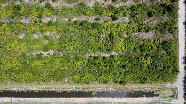 Loxahatchee No HOA, Xxxxx Charles Green Blvd, Loxahatchee, Florida 33470, image 2
