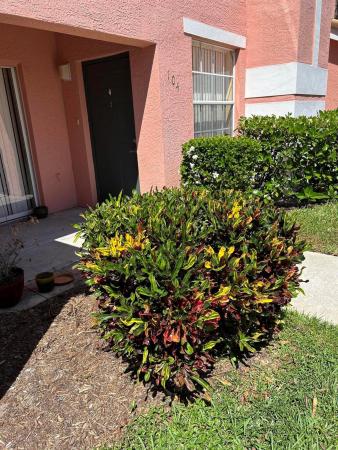 The Belmont At St Lucie West, 118 SW Peacock Blvd #10-104, Port St. Lucie, Florida 34986, image 1