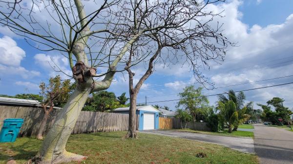 Boynton Heights, 140 W Ocean Ave, Boynton Beach, Florida 33435, image 1
