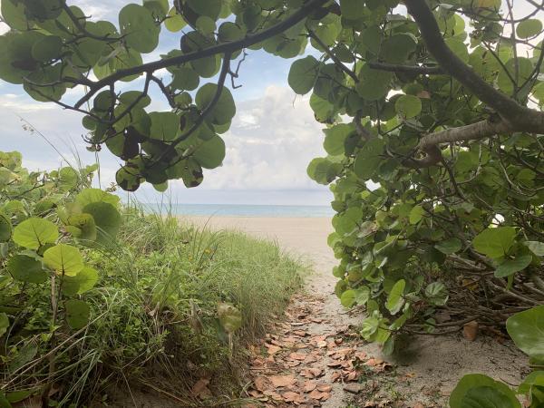The Estuary At Jupiter Dunes, 3104 Fairway Dr, Jupiter, Florida 33477, image 1