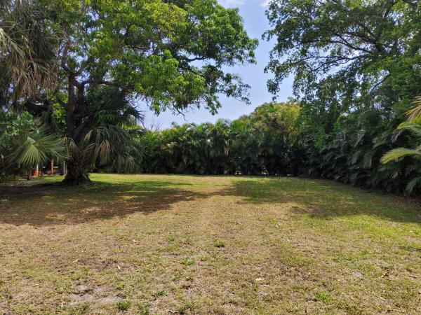 Belvedere Park, 1017 Ardmore Rd, West Palm Beach, Florida 33401, image 1