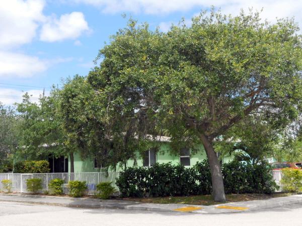 North Lake Worth, 1701 N J St, Lake Worth Beach, Florida 33460, image 1