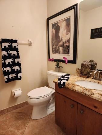 Coquina Lakes, 624 NW 45th Ave, Deerfield Beach, Florida 33442, image 2