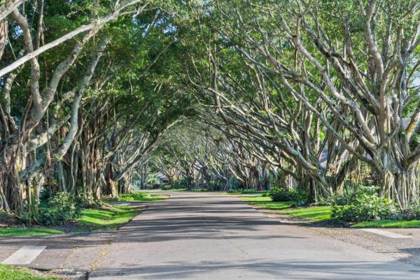 Polo Island, 2785 Polo Island Dr #J301, Wellington, Florida 33414, image 1