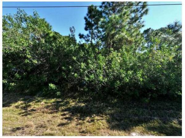 Torino, 5461 NW Norris Ave, Port St. Lucie, Florida 34986, image 2