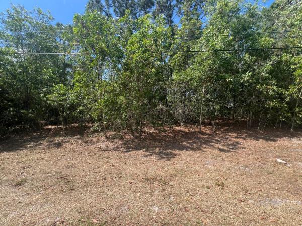 Torino, 5374 NW Akbar Ter, Port St. Lucie, Florida 34986, image 1