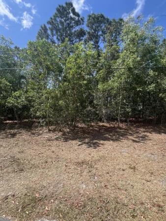 Torino, 5374 NW Akbar Ter, Port St. Lucie, Florida 34986, image 2