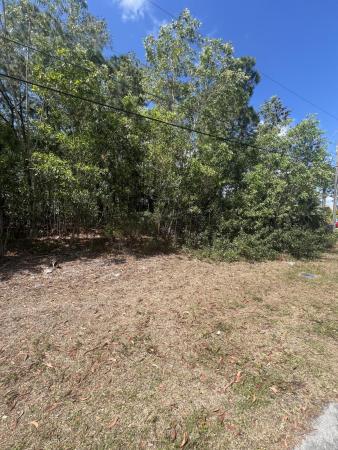 Torino, 5372 NW Akbar Ter, Port St. Lucie, Florida 34986, image 2
