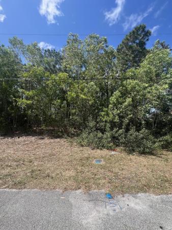 Torino, 5372 NW Akbar Ter, Port St. Lucie, Florida 34986, image 1
