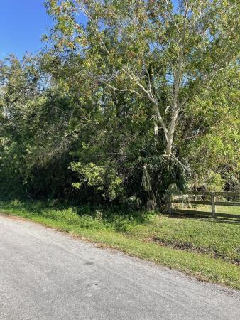 The Acreage, 18343 90th St N, Loxahatchee, Florida 33470, image 2