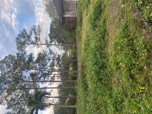 The Acreage, 15590 75th Ln N, Loxahatchee, Florida 33470, image 2