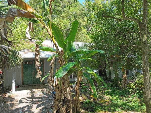 Jupiter Farms, 16336 Alexander Run, Jupiter, Florida 33478, image 1