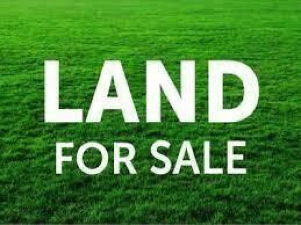 La Gorce Island, 6625 Brevity Ln, Miami Beach, Florida 33141, image 1