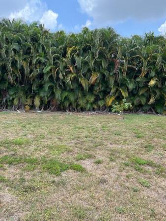 The Acreage, 14899 88th Pl N, Loxahatchee, Florida 33470, image 1