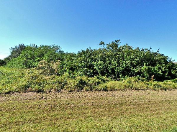Crane Landing, 4202 SW Baird St, Port St. Lucie, Florida 34953, image 2