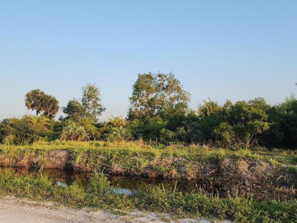 Santa Rosa Groves, 20638 Simone Dr, Loxahatchee, Florida 33470, image 1