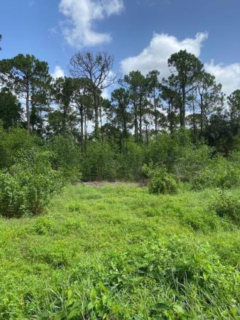 The Acreage, 13090 44th Pl N, West Palm Beach, Florida 33411, image 2