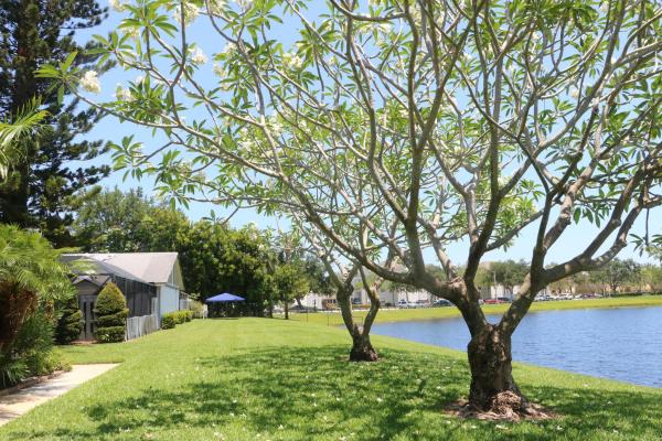 Summit Trails, 1212 Shibumy Cir #C, West Palm Beach, Florida 33415, image 1