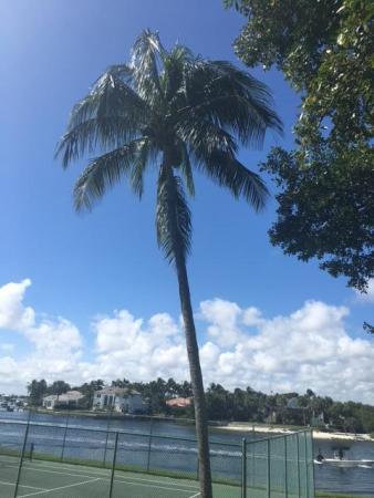 Royale Harbour Of North Palm Beach, 396 Golfview Rd #B, North Palm Beach, Florida 33408, image 1