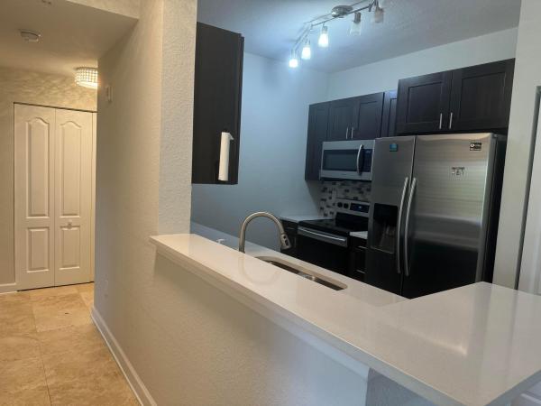 Valencia, 6001 SW 70th St #550, South Miami, Florida 33143, image 1