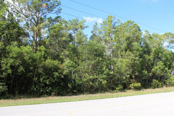 The Acreage, 17681 Hamlin Blvd, Loxahatchee, Florida 33470, image 2