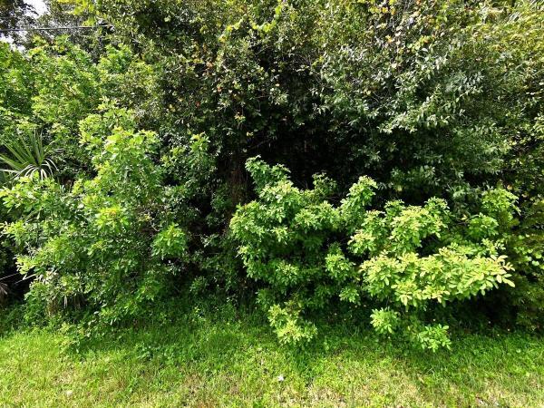 Maravilla Heights, 00 Maravilla Blvd, Fort Pierce, Florida 34982, image 1