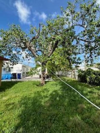 North Beach Park, 46 NE 172nd St, North Miami Beach, Florida 33162, image 1