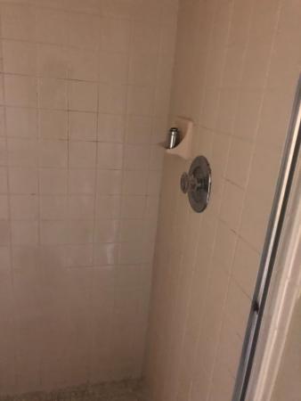 Whitehall Village, 3515 Village Blvd #301, West Palm Beach, Florida 33409, image 1