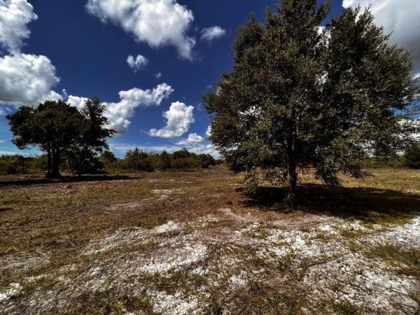 Santa Rosa Groves, Lot- 1010 Antoinette St, Loxahatchee, Florida 33470, image 1