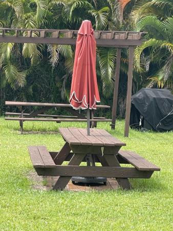 Lakeview Greens, 1600 Dover Rd #203B, Delray Beach, Florida 33445, image 2
