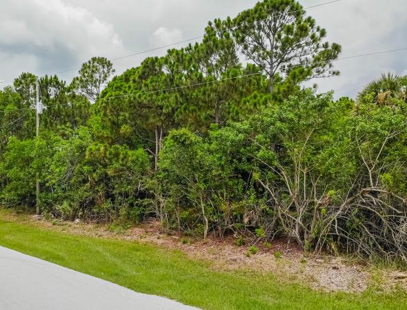 Sandhill Crossing, 2262 SE Rock Springs Dr #Lot 29, Port St. Lucie, Florida 34952, image 2
